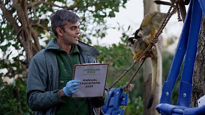 Un cuidador cuenta los animales en el zoo de Londres, Reino Unido, 03.01.2025