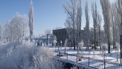 Naturaleza helada en Ardahan, al este de Turquía, 07.01.2025