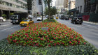 The median strip in the middle of Park Avenue in Midtown Manhattan.