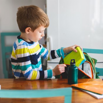 La lonchera escolar de tu hijo - Recetas saludables, rápidas y fáciles