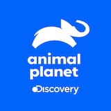 Animal Planet Logo