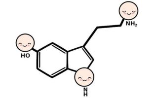 Serotonina