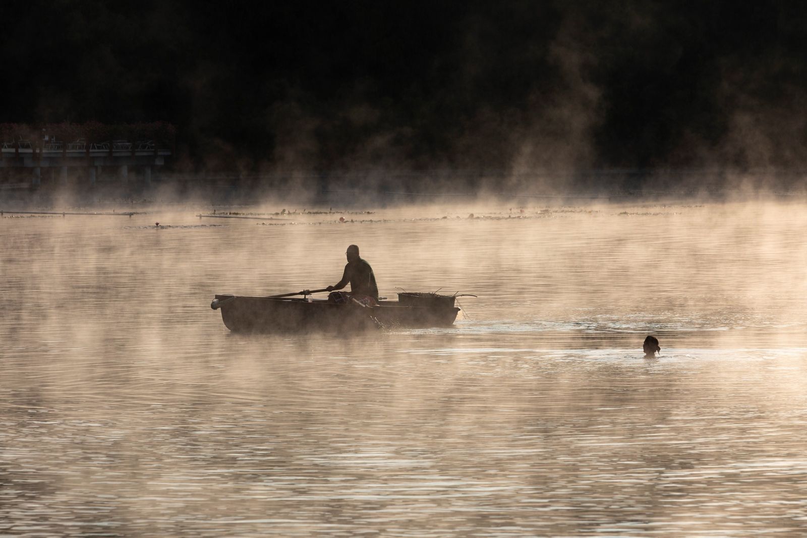 Im Morgengrauen begegnen sich ein Ruderer und ein Schwimmer auf dem Thermalsee Héviz. Dieser natürliche und ...