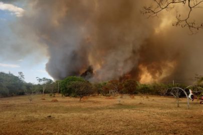 Fogo é contido, mas segue na mata profunda do Parque Nacional