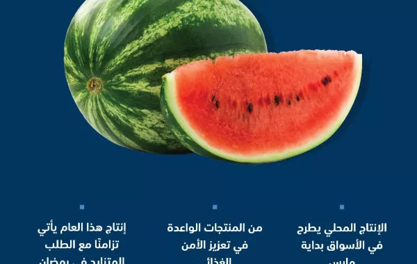  زراعة البطيخ بالسعودية