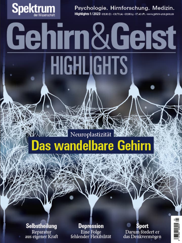 Gehirn&Geist Highlights - 1/2023 - Neuroplastizität