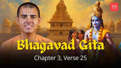 Be Like Krishna: The Bhagavad Gita's Secret To True Leadership, Chapter 3, Verse 25