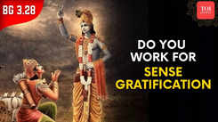 Understanding the Absolute Truth About Work: Bhagavad Gita, Chapter 3, Verse 28 Explained