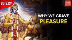 Why We Crave Pleasure And Liberation: Bhagavad Gita, Chapter 3, Verse 29