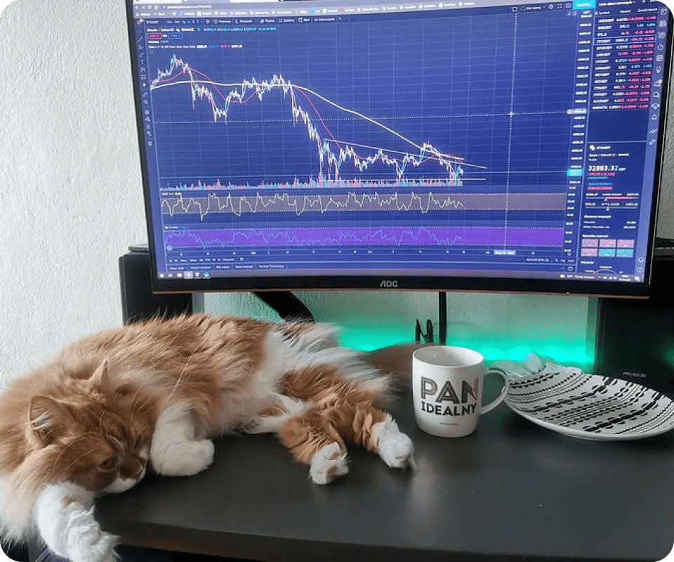 TradingView Chart sur @cryptokitku Instagram