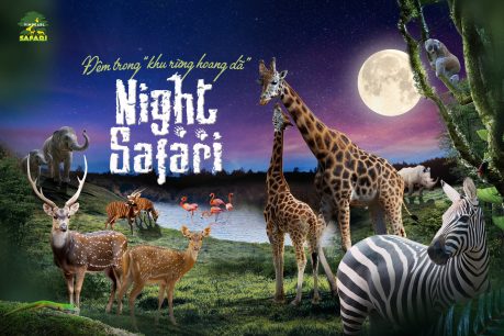 Ưu Đãi Tour Night Safari – Độc Đáo Hành Trình Thăm “Thú” Về Đêm