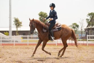 [HOT SUMMER 2024] Horse Riding: Unique Experience at Vinpearl Horse Academy Vu Yen