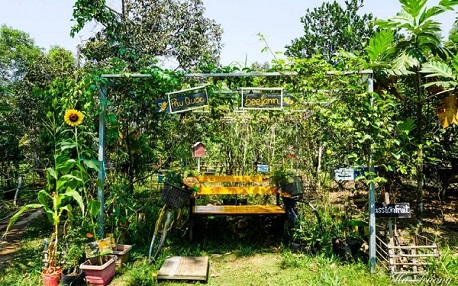 Phu Quoc Bee Farm: A hidden gem that’s worth a visit