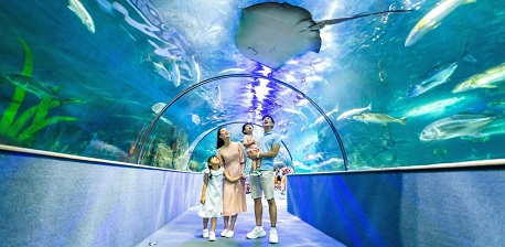 VinKE & Vinpearl Aquarium: Experiences, tickets and more