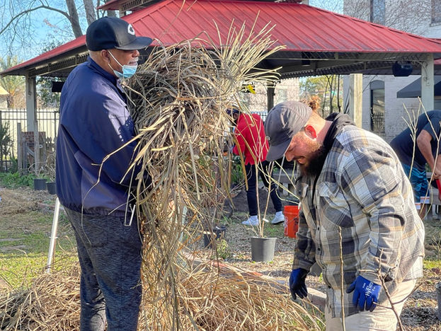 community tree planting in Historic Moncrief.