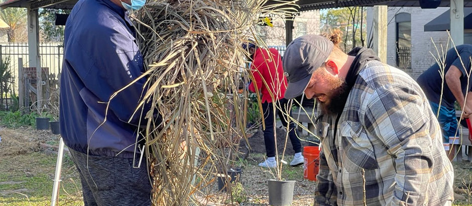 community tree planting in Historic Moncrief.