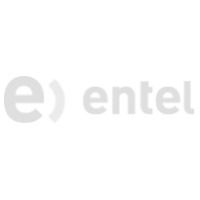 ente-logo_edited.jpg