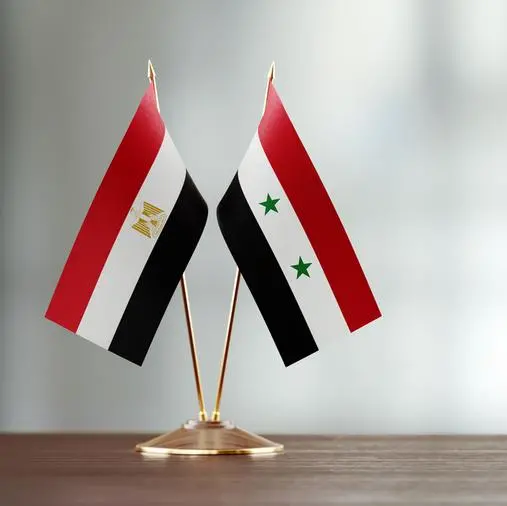 Egyptian Foreign Minister, Syrian counterpart, discuss bilateral ties, regional issues