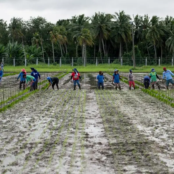 Marcos vows to address rising rice prices, make Kadiwa stalls permanent in Philippines