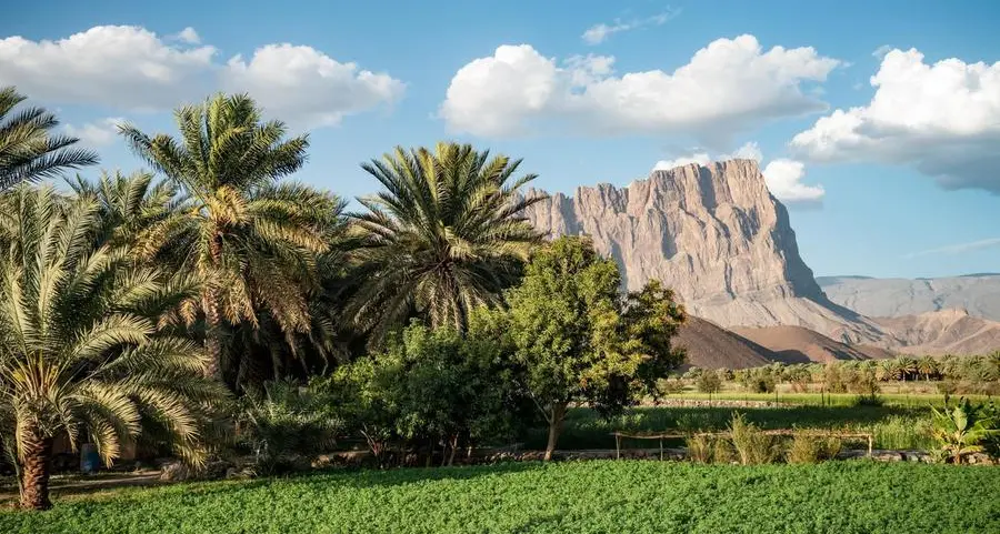 Oman: Revolutionising arid agriculture