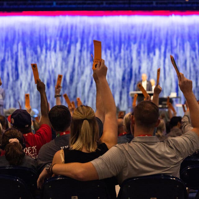 Convention delegates, seen from the rear, holding voting cards in the air.