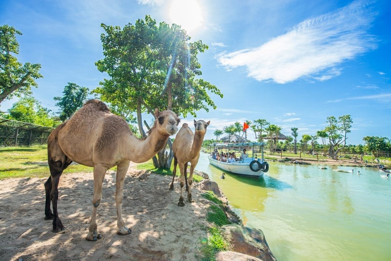 giá vé VinWonders Nam Hội An