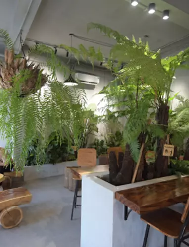 Fern Forest Coffee