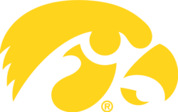 Iowa Tigerhawk logo in gold