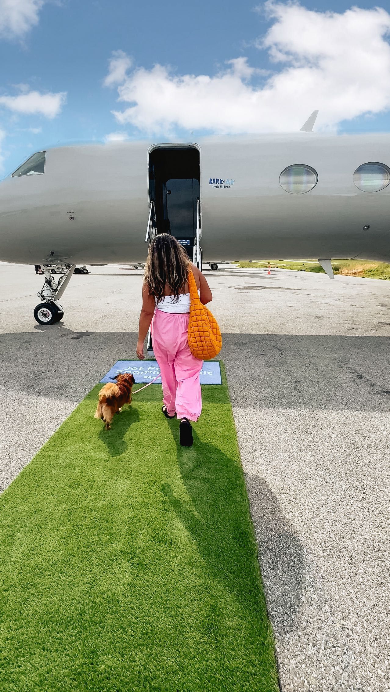 Companhia aérea de luxo para cachorros expande para cinco novos destinos