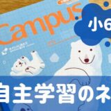 小6　6年生　自主学習　ネタ　面白い　簡単