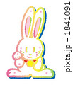 usagi_4.201010 1841091