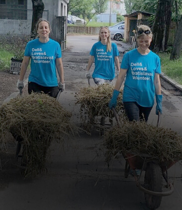 A group of people moving hay with wheelbarrows