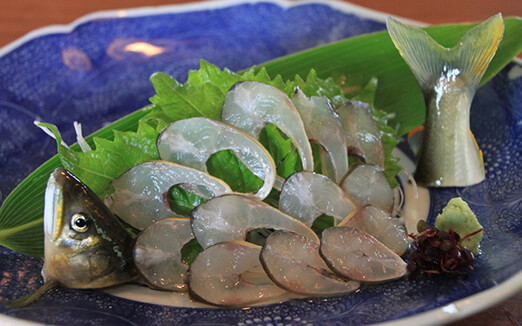 飛騨季節料理 肴