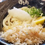 Hanamaru Udon Gifu Yanazu Ten - 