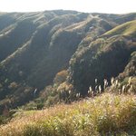 レストラン 北山 - 右側に見えた風景も気を引きますね