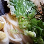 Udon Shikisai - 