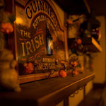 Irish pub Robin - 