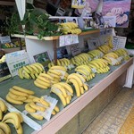 佐藤バナナ問屋本店 - 