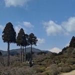 山のホテル ラウンジ・バー - [その他] テーブル席から見る庭園