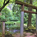 平泉寺のソフトクリーム屋さん - 白山平泉寺の御手洗池