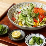 蕎麦おとや - 料理写真:せんぎり野菜ひやかけ