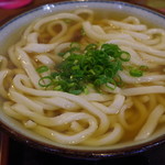 菜の家 - 料理写真:かけうどん大