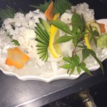 Sushi Tomo - 