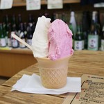 Wakasaya Ice Cream Garden - 