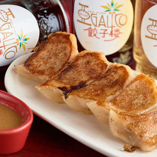 [Exquisite] Full of whole grains! Handmade Gyoza / Dumpling from the skin are the highlight of Agarico!