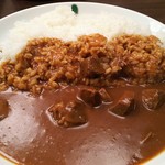 moutain curry - 