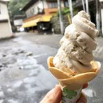 滝本屋 - 豆乳湯葉ソフトクリーム！！湯葉の細切れがゴロゴロ入っていて美味しいー༼ º﹃º ༽