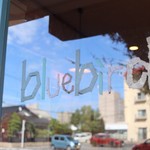 bluebird - 