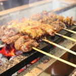 Sumibi Yakitori Satori Sakae Ten - 