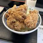 Yoshinoya Hikari No Mori Ten - 